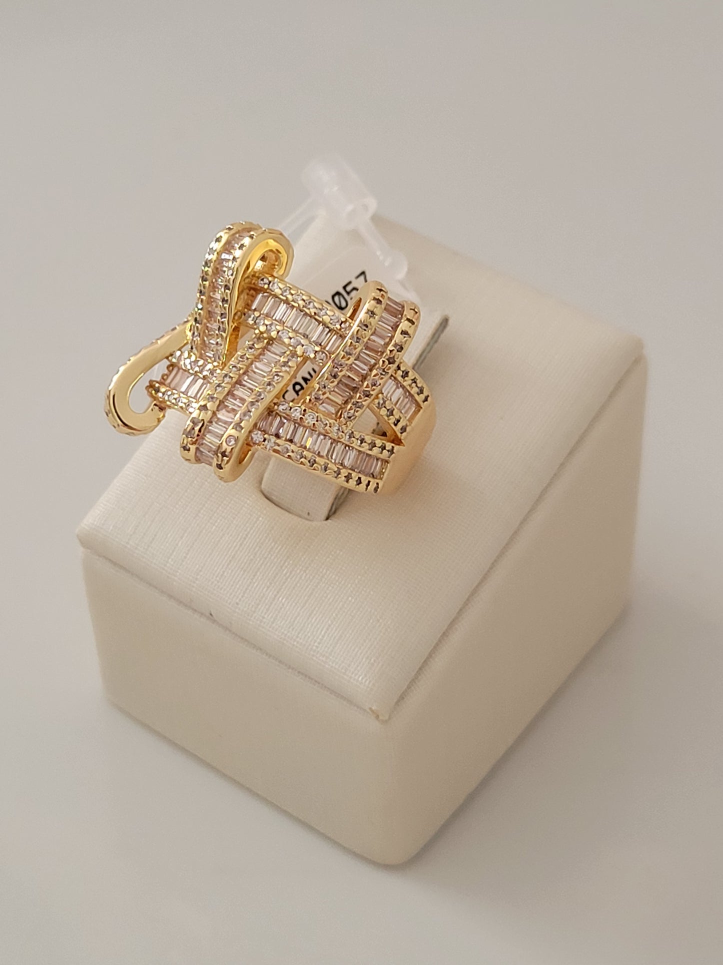 Dani Ring