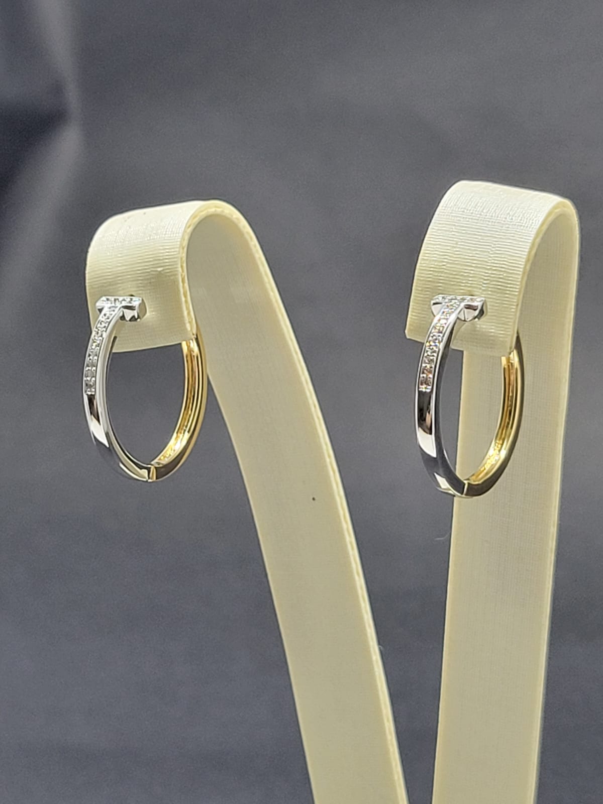 Anna Earring