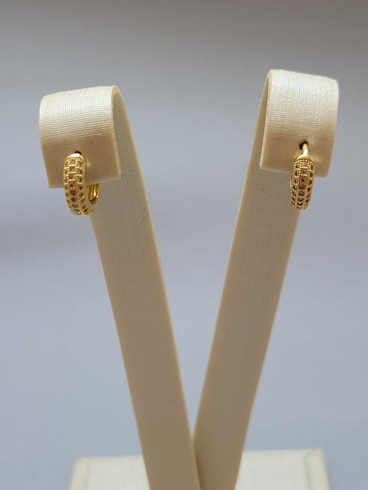 Luxe Earring